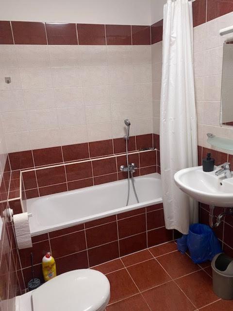 Roland Apartment Downtown - Garay Budapest Eksteriør billede